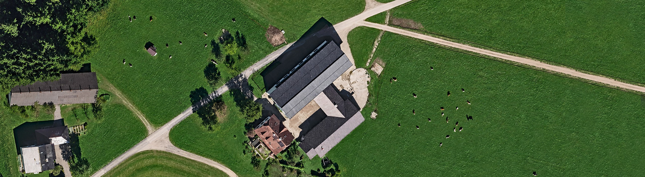 Schneiderbauer-Hof Lamprechtshausen - Kalbinnenaufzucht